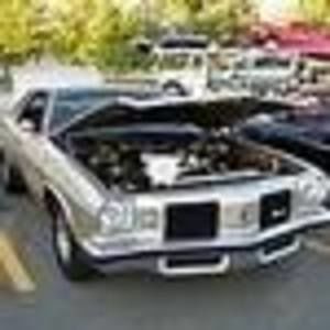 Meet your Posher, Philip